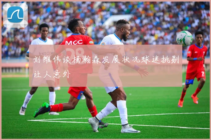 刘维伟谈杨瀚森发展状况球迷挑剔让人意外