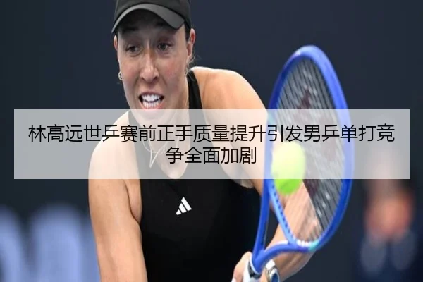 林高远世乒赛前正手质量提升引发男乒单打竞争全面加剧 | kaiyun